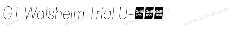 GT Walsheim Trial U字体转换